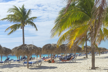 Earthly paradise, palm trees sun and sand near the sea