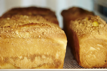 Bread at bakery 