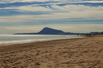 A view of the beach