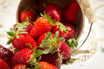 freshly picked strawberries