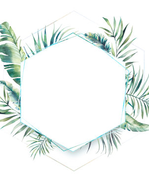 Hexagon tropical plants frame. Hand drawn summer card design with exotic branches, banana leaves, palm tree. Greeting or logo template.