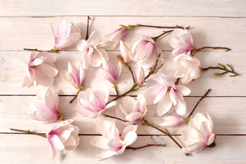 fusjon, magnolia, kwiat, charakter, magnolia, drzew, kwiat, biała, galąź, kwiatowy, kwitnienie, flora, bliska, jardin, feuille, pora roku, pąki magnolii, biały, tło z magnolią, ozdoba, ornament © Ansza