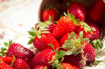 freshly picked strawberries