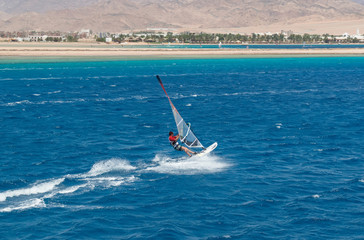 the windsurfer on the board under sail moves at a speed along the surface of the sea