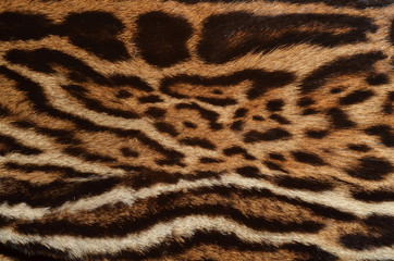 feline fur background texture - 201196251