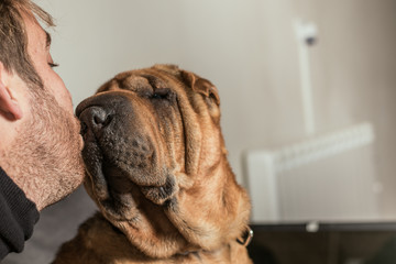 Man giving a kiss to a dog Shar pei