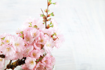 adorable cherry blossom flowers on white wood background, free space for your text, shabby chic