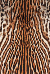 leopard background texture