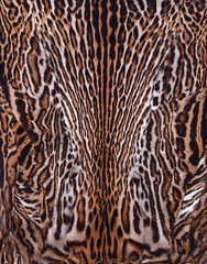 leopard  background texture