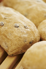 bread 