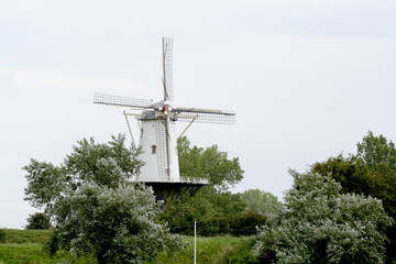 Historical windmill named The white Cow