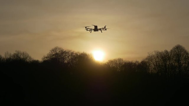 Dron at sunset in the rays of the setting sun