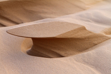 Wind erosion on the sand created these formations