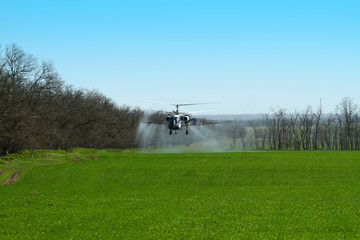Helicopter with spray above agricultural field on the farm in spring