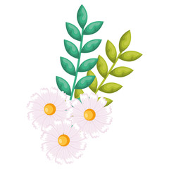 Fototapeta na wymiar flowers and leafs decorative icon vector illustration design