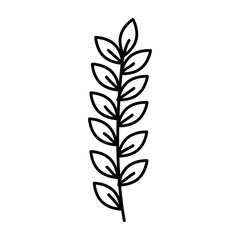 leaf drawing monochrome icon vector illustration design