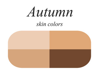 Stock vector seasonal color analysis palette for autumn type of female appearance. Skin colors for autumn type. 