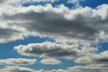 Obraz premium Small cumulus clouds are lit by the sun. The sun is not visible.