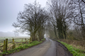 Fototapeta na wymiar Early morming mist on countryside lane in Cheshire UK