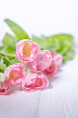 Obraz na płótnie Canvas Beautiful pink tulips on a white background. Free space