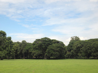 green grass field in city park