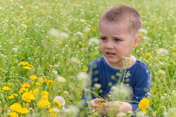 a boy in nature surrounded by grass and dandelion