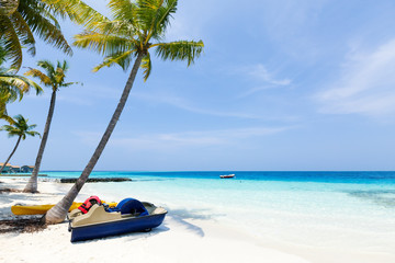 Maldives tropical beach with coconut palms and sea view