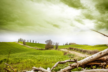 Spring landscape of Tuscany 