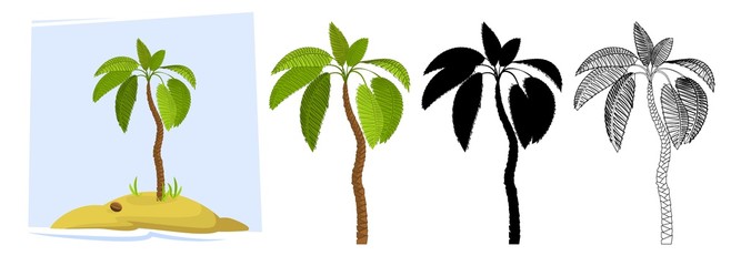 Tropical palm trees. Illustration of a palm tree, black silhouettes and outline contours isolated on white background. Vector