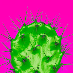 Cactus art. Cactus Lover. Minimal art