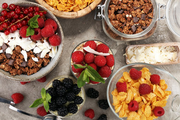 Cereal and ingredients for a healthy breakfast with chia pudding, granola, cornflakes and berries