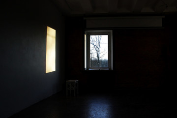 rectangular light from the window in a dark photo studio. in the window there is a tree that grows on the street.