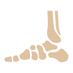 Medizin & Gesundheit Icon - Fußknochen