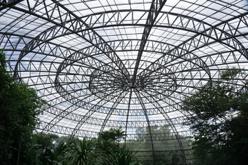 Roof Top Insect Museum