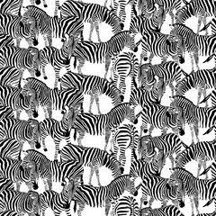 Fototapeta na wymiar Zebra seamless pattern. Wild animal texture. Striped black and white. design trendy fabric texture, illustration.