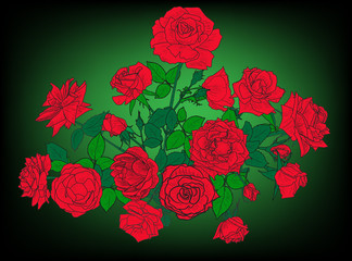 sketch of red roses lush bunch on green