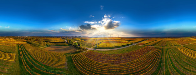 Luftbild Sonnenuntergang über den Weinbergen bei Worms Herrnsheim volle 360°