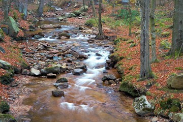 der Fluss Ilse bei Ilsenburg am Fuße des Brocken im Nationalpark Harz