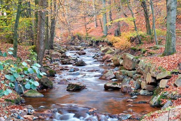 der Fluss Ilse bei Ilsenburg am Fuße des Brocken im Nationalpark Harz