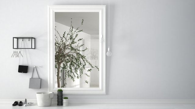 Scandinavian entrance lobby hall with mirror reflecting bright bathroom with olive tree, minimalist white interior design
