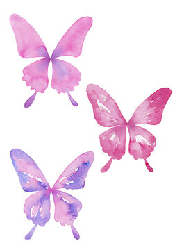 アゲハ蝶のセット　水彩イラスト