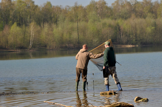 Angeln, den Karpfenfisch fangen und freilassen