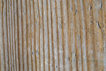 Fototapeta premium The old wood texture or background. The macro shot is made by means of stacking technology