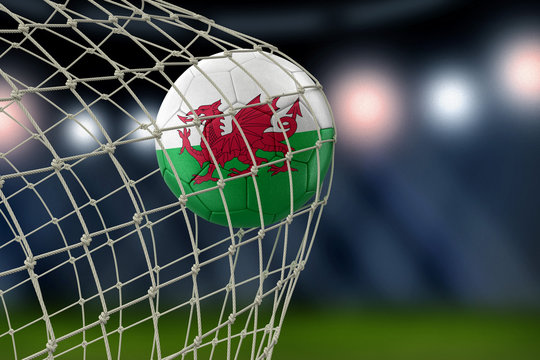 Welsh soccerball in net