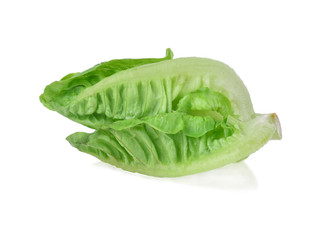fresh baby cos, green lettuce isolated on white background