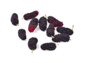 mulberry isolated on white background