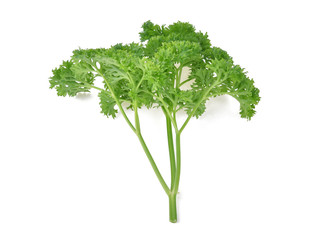 Parsley isolated on white background