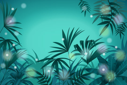 Night  jungle background with space for text.