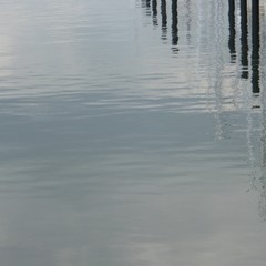 Pfähle, Spiegelung im Wasser