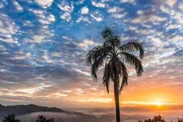 Obraz premium Dawn with silhouetted trees with colorful sky, sun between clouds